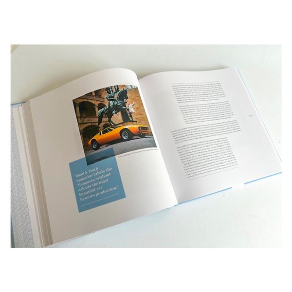 De Tomaso: Rise &amp; Fall image 2